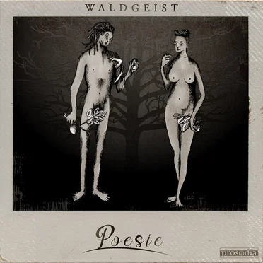 Poesie by Waldgeist - album cover