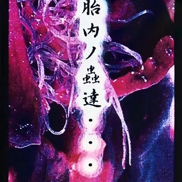 胎内ノ蟲達・・・ by MALIERE - album cover
