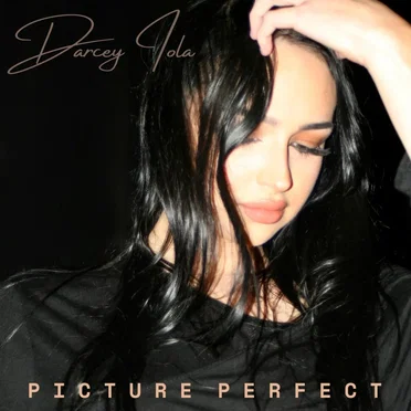 Picture Perfect by Reynolds Wickens, Darcey Iola - album cover