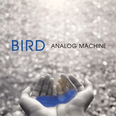 Bird by ANALOG MACHINE - album cover