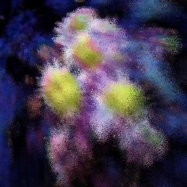 Lavender