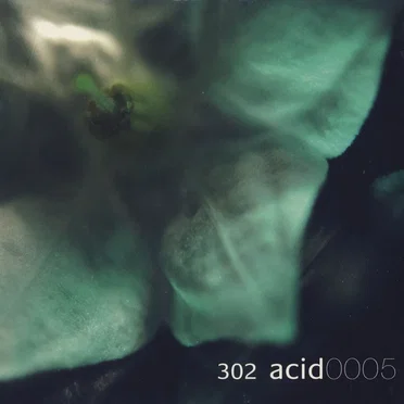 302 Acid 0005 by 302 Acid - album cover