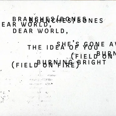 Not the Actual Events