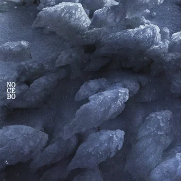 Nocebo