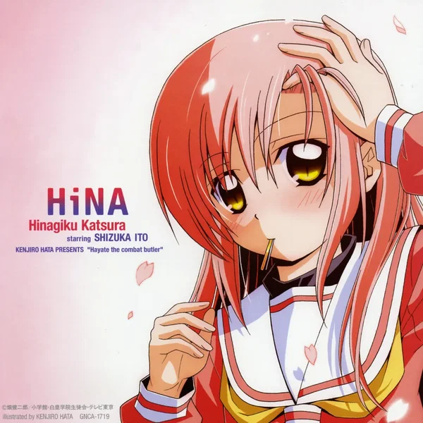 HiNA