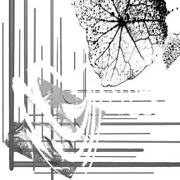 Monographomania