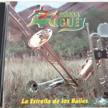 La estrella de los bailes by Banda Maguey - album cover