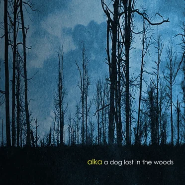 A Dog Lost in the Woods by Alka - album cover
