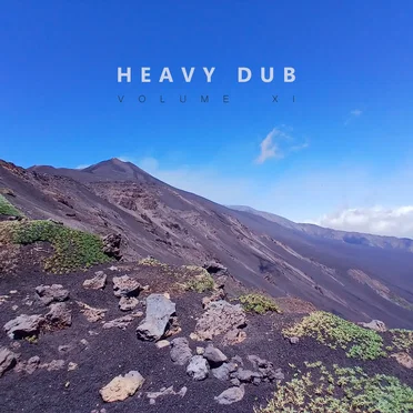 Heavy Dub Vol. 11 by Various Artists - album cover
