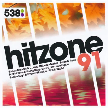 538: Hitzone 91 by Various Artists - album cover