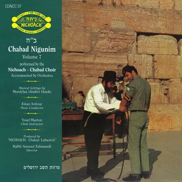 Chabad Nigunim, Volume 7 by Nichoach - album cover