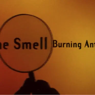 The Smell of Burning Ants