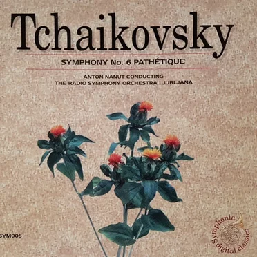 Symphony No. 6 Pathétique
