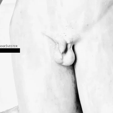 Krankšvester III by Krankšvester - album cover