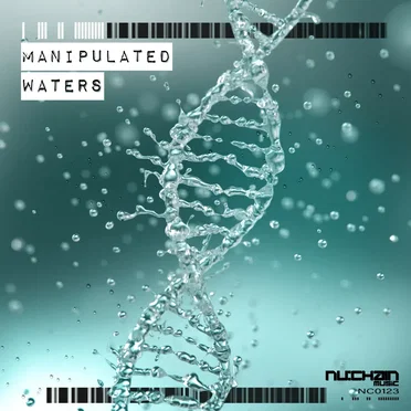 Manipulated Waters (Original Mix)