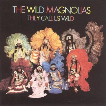 They Call Us Wild by The Wild Magnolias - album cover