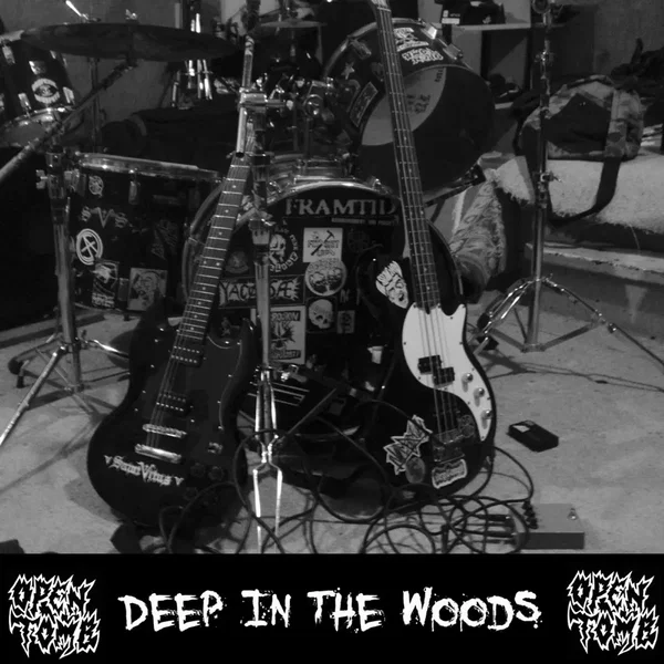 Deep in the Woods