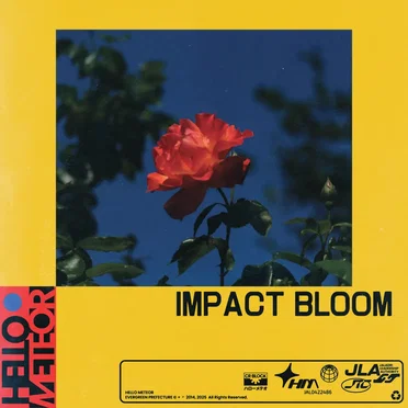 Impact Bloom