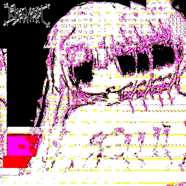 NONSENSU