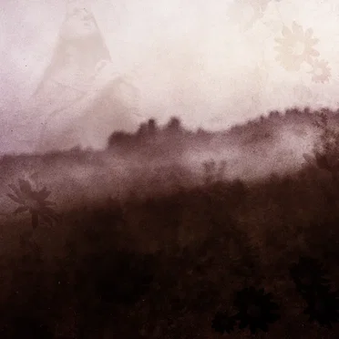 Winterlost