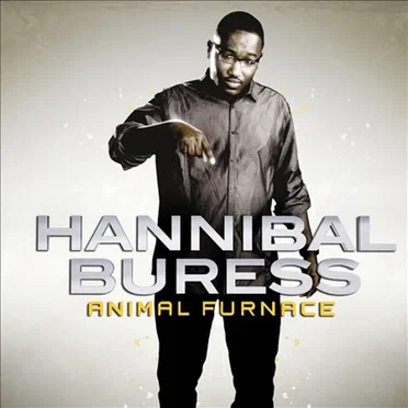 Animal Furnace by Hannibal Buress - album cover