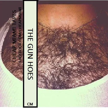 2010-2012 Compilation by The Gun Hoes - album cover