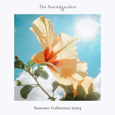 Summer Collection 2024 by Various Artists - album cover