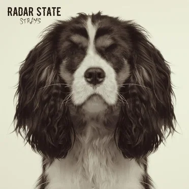 Strays by Radar State - album cover