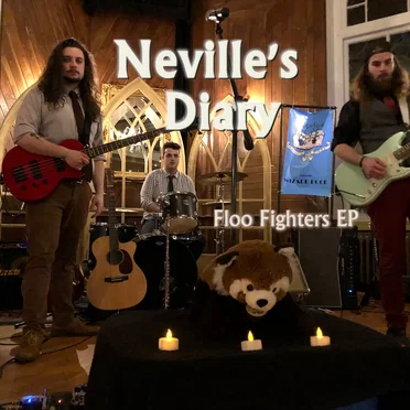 Floo Fighters EP