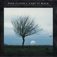 Pink Floyd artist image