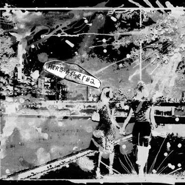Herb Asher No. 2 by The Walls are Blonde - album cover