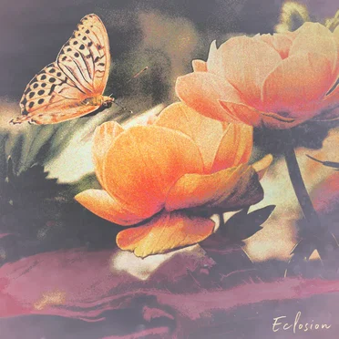 Eclosion by mimy - album cover