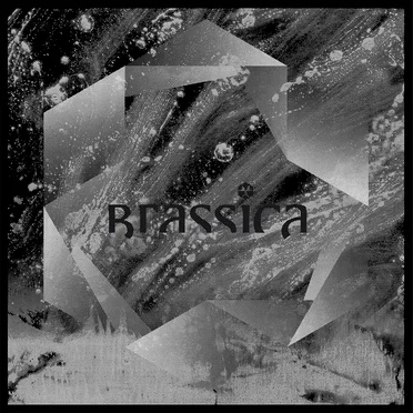 Brassica