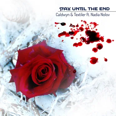 Stay Until The End