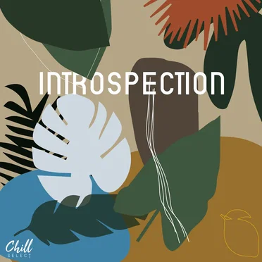Introspection by Epigenesis - album cover