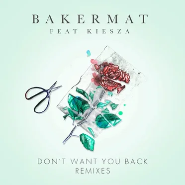 Don’t Want You Back (remixes)
