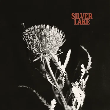Silver Lake by Silver Lake - album cover