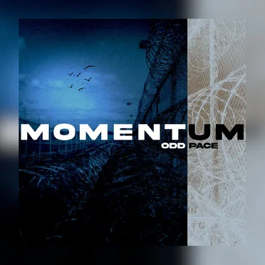 Momentum