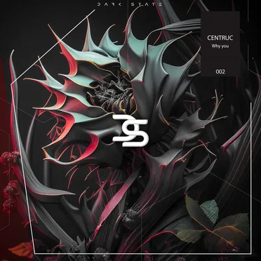 Why You by Centruc - album cover
