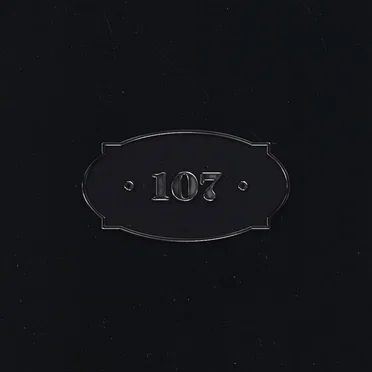 Stanza 107
