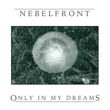 Nebelfront