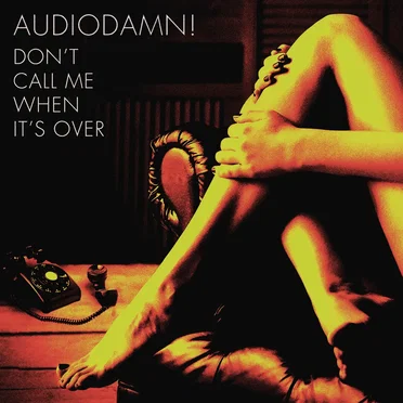 Don't Call Me When It's Over by AudioDamn! - album cover