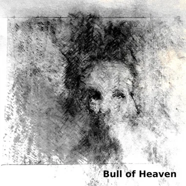 Driftwood and Bone by Bull of Heaven - album cover