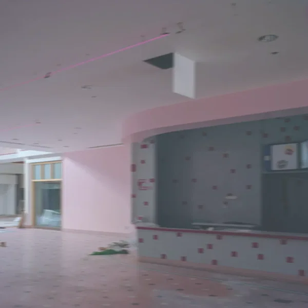 ・薔薇綺麗躊躇網羅就職痙攣蝋燭鷹麟爨齉馕龘爨齉龘・ (Pink Album)