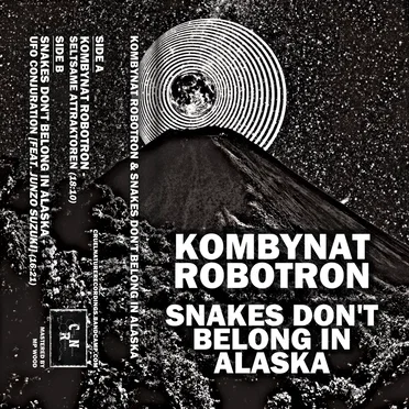Kombynat Robotron / Snakes Don’t Belong in Alaska