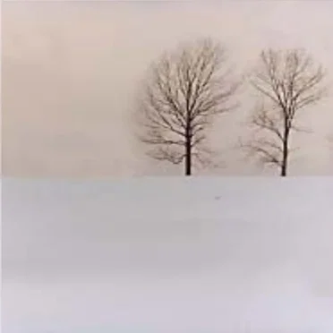 Snowless Winter EP