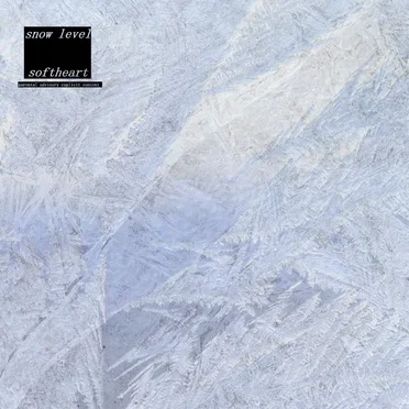 Snow Level