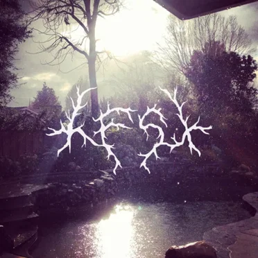 Sick Of Everything // It Was Kinda Cool by LSFX - album cover