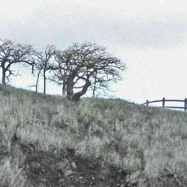 The Hills Fell Silent