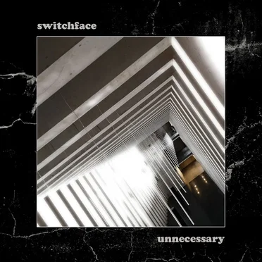 Unnecessary by Switchface - album cover